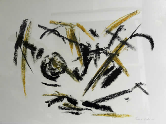 Zeichnung ohne Titel 2002 57 x 76 cm Pastellkreide auf Papier (Büttten) von Paul Suter